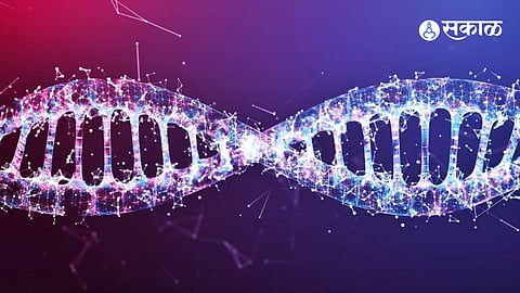 Nobel Prize 2024 microRNA Research Victor Ambros and Gary Ruvkun