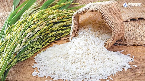 PM Modi: फोर्टिफाईड तांदळाचं देशभरात होणार मोफत वितरण; केंद्र सरकारचा निर्णय, १७ हजार कोटींचा खर्च