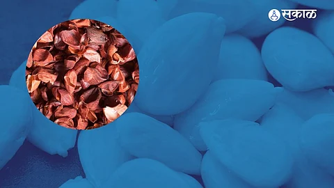Almond Peel Benefits