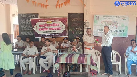 Jungle Safari Forest Range Officer Bhilawe for trekking at Pal to see tiger existence in Satpura forest