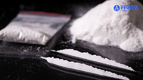 Cocaine Seized