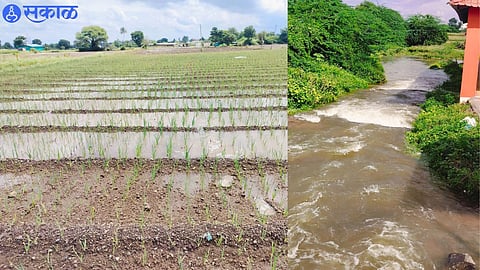 Nandur Shingote and its surroundings have been washed away by heavy rains since last two days.
