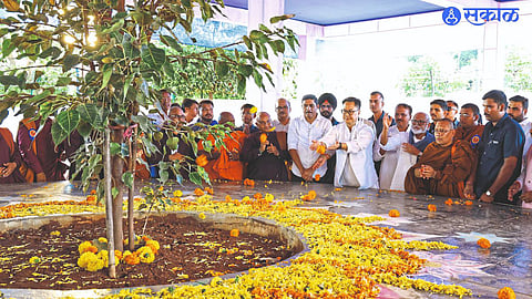 Union Parliamentary Affairs Minister Kiran Rijiju, Chief Guest along with Minister Chhagan Bhujbal saluting the Mahabodhi Tree at Trirashmi Buddha Caves on its first anniversary.