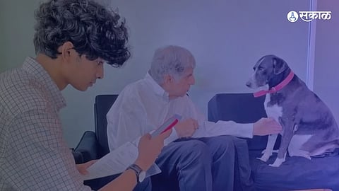 Fake News About Ratan Tatas Pet Dog Goa