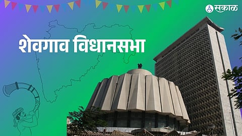 Shevgaon Vidhan sabha Election 2024