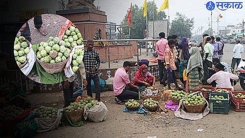 A rush to buy Sitaphal at Taloda. Natural Sweet Sitafal in second photo.