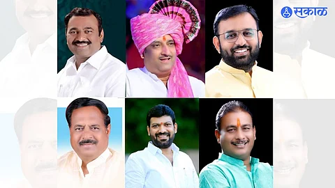 Pandharpur-Mangalwedha Assembly