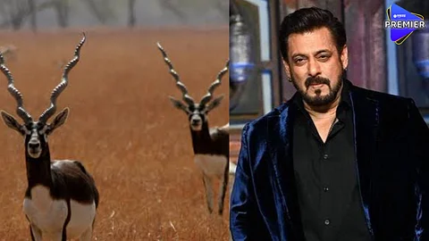 Salman Khan Blackbuck Hunting Case