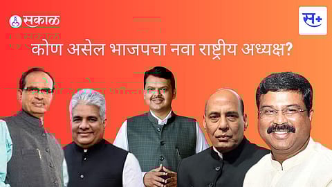 bjp new chairman