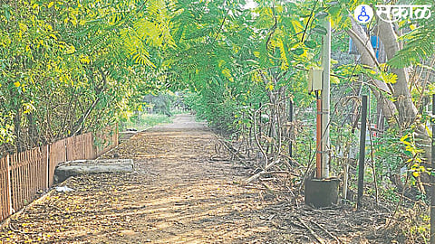 Park department has not noticed the bad condition of the track