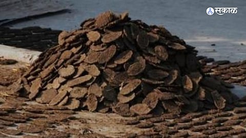 Government Decision: अंत्यसंस्कारासाठी आता गायीच्या गोवऱ्यांचा वापर करावा लागणार; सरकार समिती नेमणार