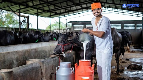 Milk producer