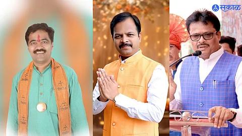 Maharashtra Vidhan sabha election