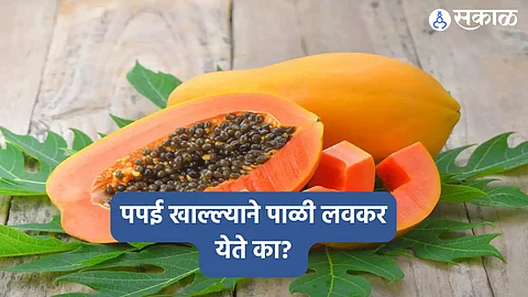 Papaya Benefits In Benefits