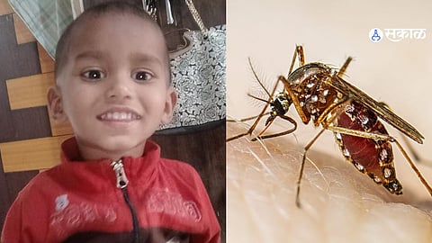 Marathwada: ग्रामीण भागात डेंगी आजाराचे थैमान, बालकाचा मृत्यू