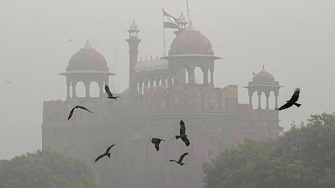 Delhi Fog