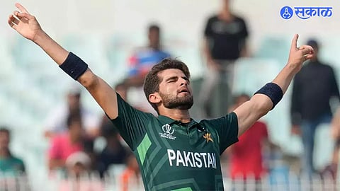 Shaheen afridi