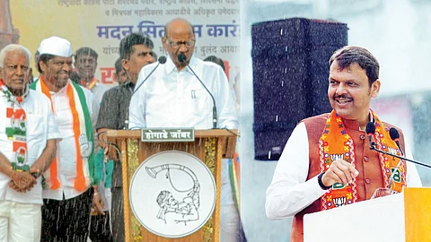 Sharad Pawar Devendra Fadnavis