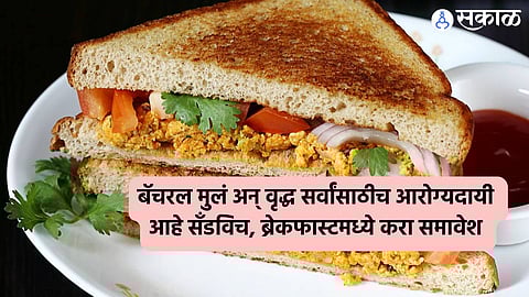 Healthy Recipe