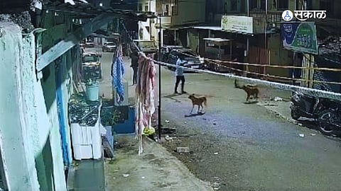 Pune Crime: धक्कादायक! विरोधी उमेदवाराचा प्रचार केला म्हणून तडीपार गुंडांनी हातात कोयते घेऊन माजवली दहशत