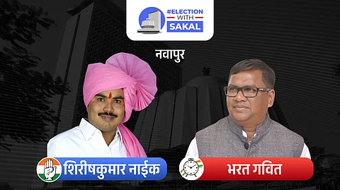 Navapur Assembly Election 2024 Result Live