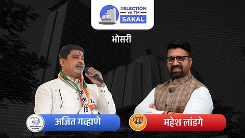 Maharashtra Vidhan Sabha Election 2024 result