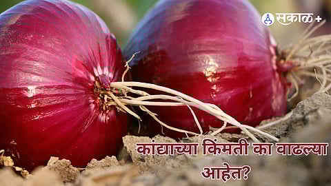 why onion prices high in india?
