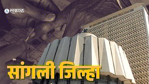 Sangli: नव्या विधानसभेत सांगली जिल्ह्यातील सहापैकी पाच जावई महायुतीतले