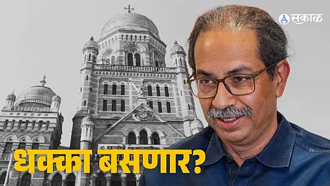 Uddhav Thackeray News