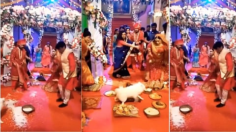Dulha Dulhan Viral Video: