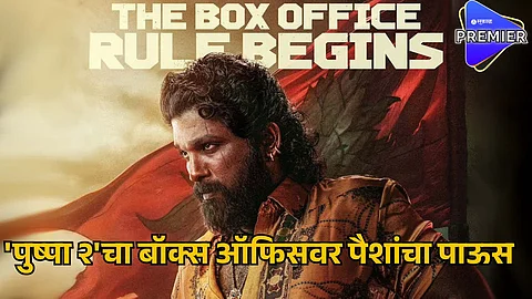 pushpa 2 box office