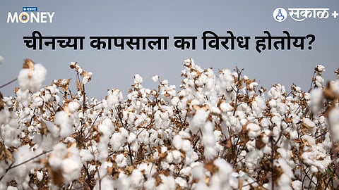 कापसाचा मोठा पुरवठादार असलेल्या चीनच्या कापसावर वेठबिगारीचे डाग पडलेत.