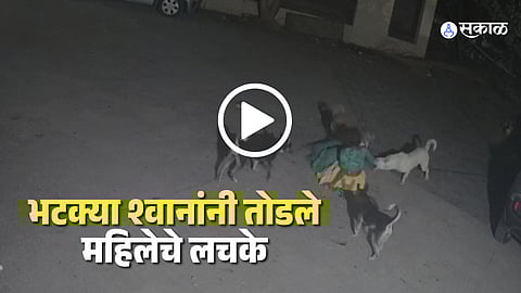 dogs acctack on woman titwala