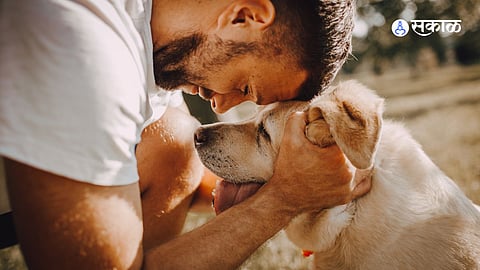 Alaska dog archaeology dog and human relationship research