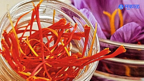 Kashmiri Saffron
