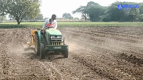 Sowing of sorghum