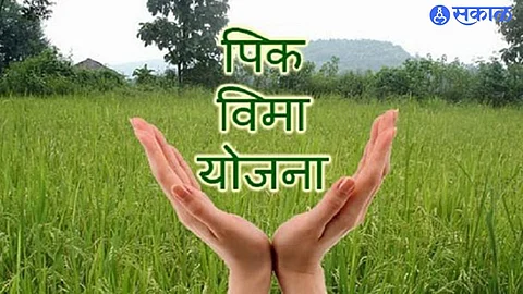 Crop Insurance