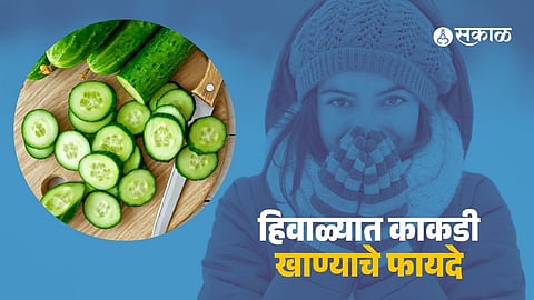 Consume Cucumber In Winter for Good Health