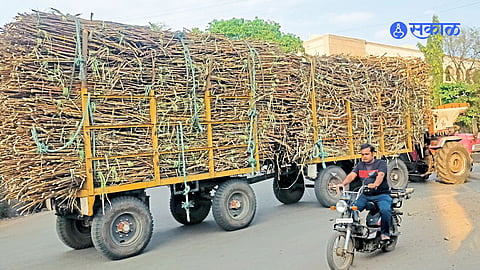 Transportation Sugarcane