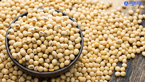 Soybean Procurement