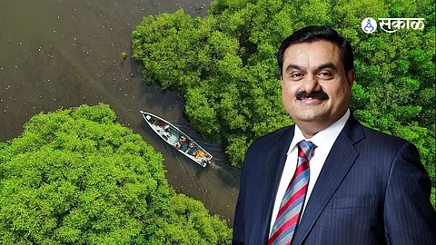 Adani In Mumbai: अदाणींची २०९ कांदळवनांवर कुऱ्हाड!