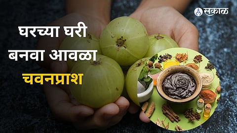 Amla Chyavanprash Recipe: