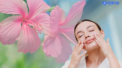 Hibiscus Flower Face Pack: हिवाळ्यात त्वचा कोरडी पडते का? जास्वंद फुलांचा फेसपॅक वापरा, त्वचेसाठी फायदे जाणून घ्या!