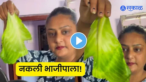 Viral video artificial vegetables selling in market