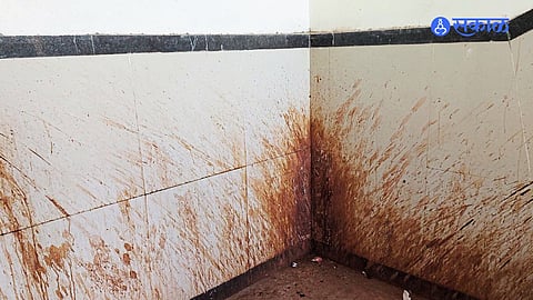 Walls spray painters