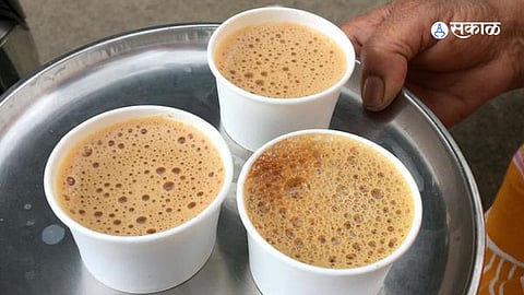 Buldhana plastic and paper ban