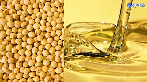 Soybean & Edible oil price