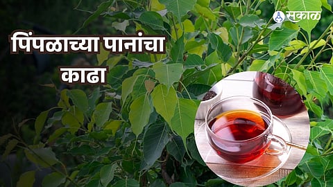 Healthy Tips: