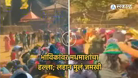 bee attack on pilgrims