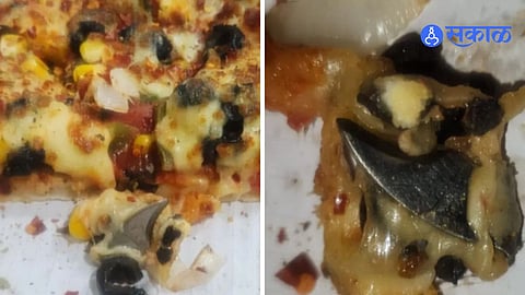 knife Piece found in pizza at bhosari